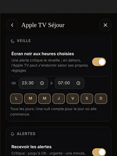 An Apple TV’s settings: standby, alerts, wake this screen on an urgent or critical alert